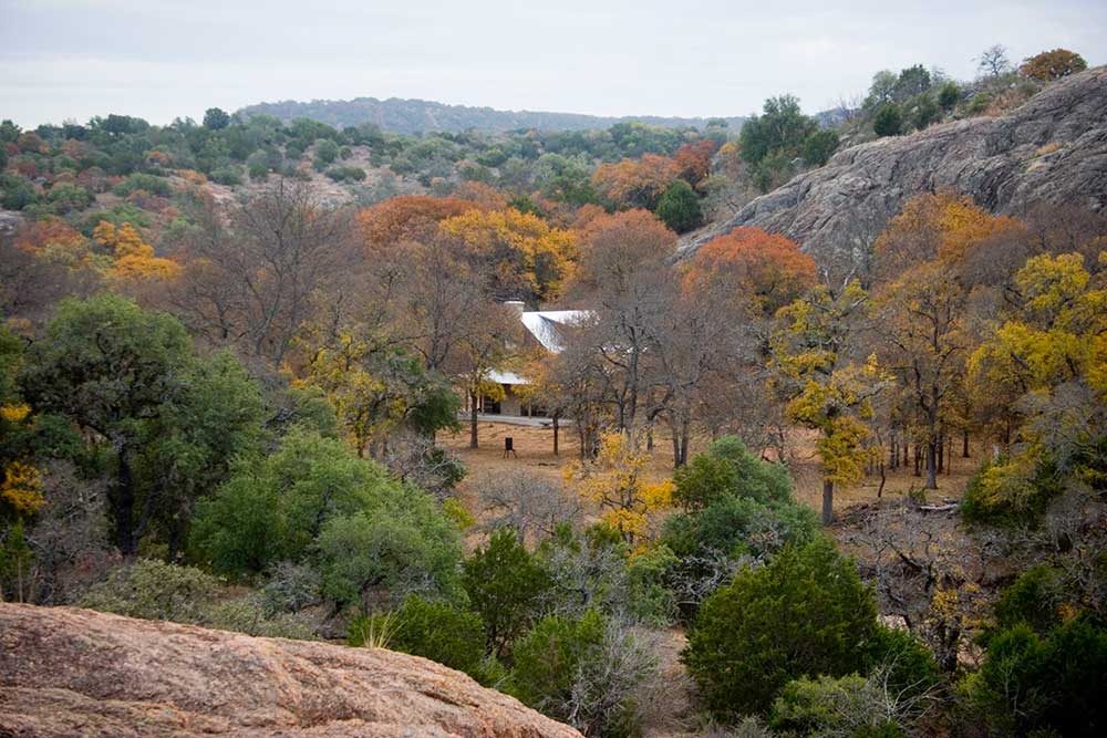 Fall colors